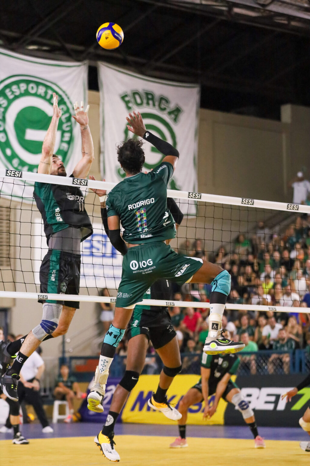 goias volei