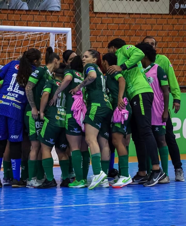 resenhas e leoas da serra